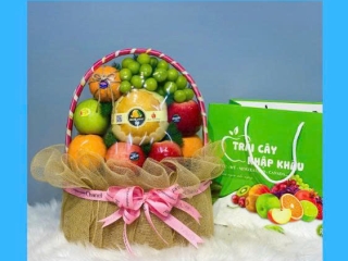 Lợi Ích Thiết Thực Của Giỏ Quà Trái Cây Mua Tại WEB Giỏ Quà Trái Cây Sài Gòn