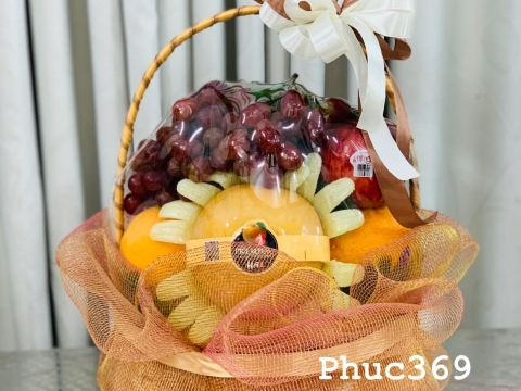 Album giỏ quà trái cây 