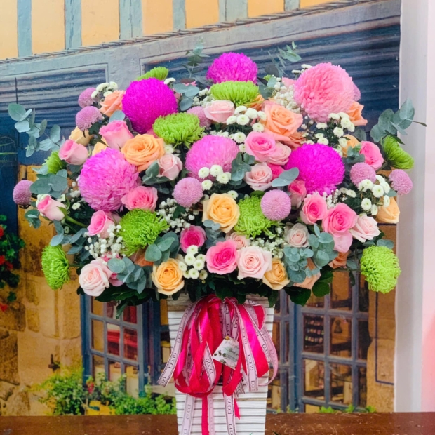 Chậu cao hoa cúc mẫu đơn nhiều màu tím, hồng, xanh 