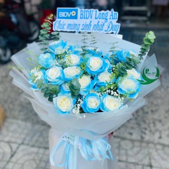 Bó hoa hồng xanh trắng 